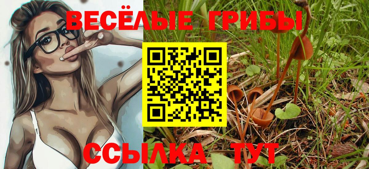 Псилоцибиновые грибы прущие грибы  Вход с VPN  Грозный 